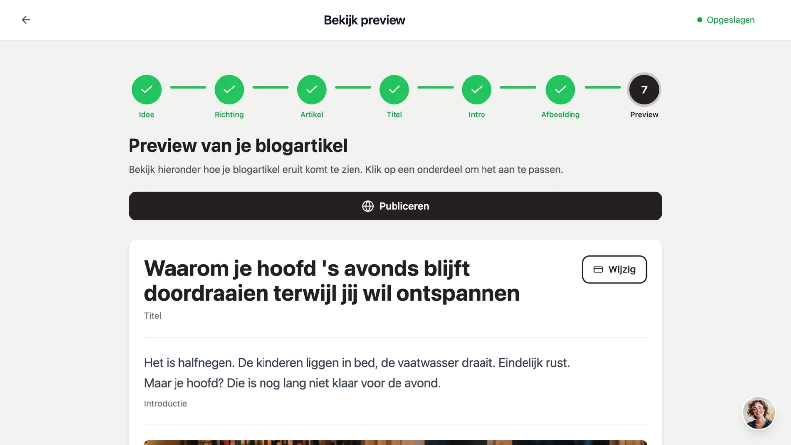 Een afgeronde blog in dibbi met de knop Publiceren